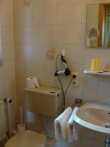 a bathroom with a toilet and a sink at Hotel Restaurant Zum Alten Ritter in Bad Bodenteich