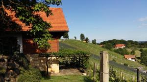 a house on a hill with a bunch of vines at Kellerstöckl am Rosenberg in Straden