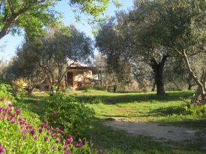 a garden with trees and a house in the background at B&B Sa Ingia in Càbras