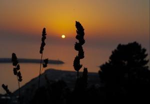 Gallery image of Your Nest in Nazaré - Ocean View Villa in Nazaré