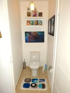 a small bathroom with a toilet and a rug at Appartement Glamour in Paris +17 photos