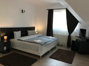 um quarto com uma cama grande e uma janela em Cochet Accommodation em Piatra Neamţ