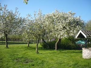 Gallery image of Shepherds House B&B in Limmen