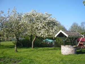 un árbol con flores blancas en un patio con cenador en Shepherds House B&B, en Limmen