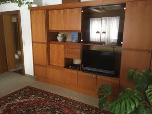 TV a/nebo společenská místnost v ubytování Ferienresort Gosau