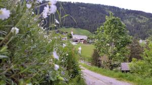 Příroda nedaleko penzionu – hostince