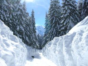MB Hotel during the winter