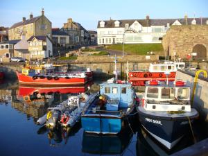a group of boats docked in a harbor at The Bakehouse B&B in Seahouses