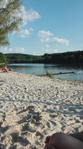 eine Gruppe von Menschen an einem Strand in der Nähe des Wassers in der Unterkunft Gästehaus am Möhnesee in Möhnesee