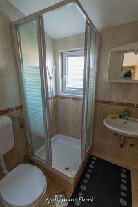 Koupelna v ubytování apartmani Puzek