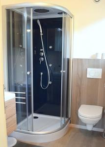 涅德勞的住宿－Flatscher‘s，带淋浴的浴室和卫生间