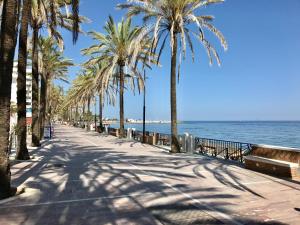 マルベーリャにあるGRAN MARBELLA APARTMENTS by Coral Beachの浜辺のヤシの木が並ぶ歩道