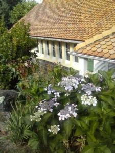 een tuin met bloemen voor een huis bij les neyes in Étables