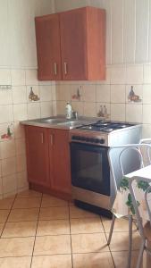 a kitchen with a stove and a sink at Dom z kominkiem dla 12os. in Kruklanki