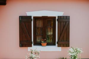 a window on a pink wall with a potted plant at Casa Rosa in Camacha