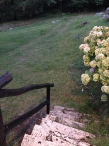 トルノにあるBaita Mirellaの花の垣根の横に座るベンチ