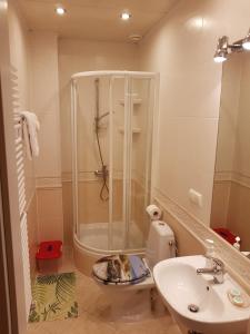 a bathroom with a shower and a toilet and a sink at Biały Domek in Szczyrk