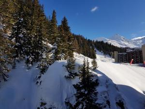 Le Chamois tokom zime