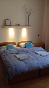 トルンにあるPod Jarzębinąの青い大型ベッド(青いシーツ、枕付)