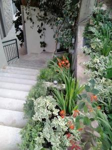 Zahrada ubytování Apartments Leut