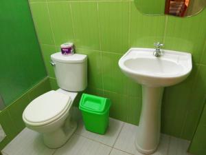 a green bathroom with a toilet and a sink at Nasca Trails B&B in Nazca +61 photos