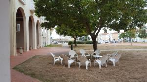 eine Gruppe von Stühlen, die um einen Tisch unter einem Baum sitzen in der Unterkunft Studio port de plaisance in Les Sables-dʼOlonne