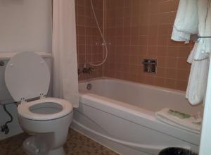 Bagno di Falcon Nest Motel