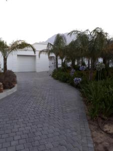a brick driveway with palm trees and a garage at Adrian D'Cap Boutique Manor in Stellenbosch