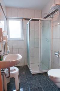 a bathroom with a shower and a sink and a toilet at Hotel Aggertal in Gummersbach