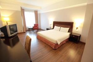 TV a/nebo společenská místnost v ubytování Grand Kampar Hotel