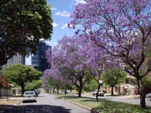 Imagen de la galería de Mountway Holiday Apartments, en Perth