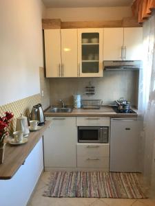 Kuchyň nebo kuchyňský kout v ubytování Apartments Znjan