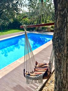 a hammock sitting next to a tree next to a pool at Moinhos do Pisão in Povoa Dao