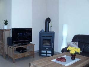 a living room with a fireplace and a television at Attractive Holiday Home in Frielendorf with Fenced Garden in Börgerende-Rethwisch