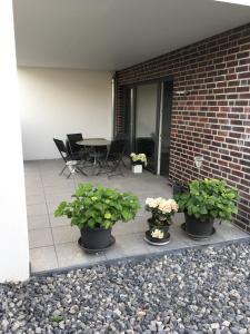 ノイシュタット・アム・リューベンベルゲにあるFerienwohnung Angelikaの鉢植えの植物3本、テーブルと椅子付きのパティオ