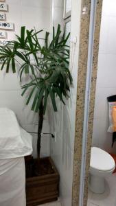 a bathroom with a potted palm tree in a shower at Apartamento dois quartos perto da praia em Jardim Camburi in Vitória