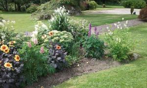 Giardino di Courtyard Cottage