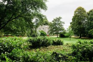 uma casa no meio de um jardim verde com arbustos em Courtyard Cottage em Carlow