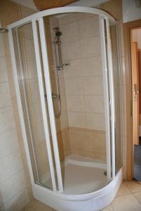 a shower with a glass enclosure in a bathroom at Hotel Grůň in Mosty u Jablunkova +28 photos