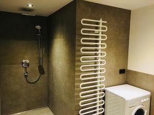 フィーバーブルンにあるFerienwohnung Ledererのバスルーム(シャワー、洗濯機、乾燥機付)