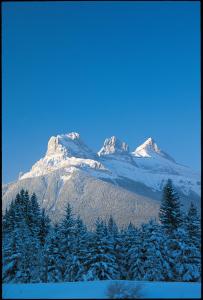 einen schneebedeckten Berg mit Bäumen davor in der Unterkunft Canmore Inn & Suites in Canmore