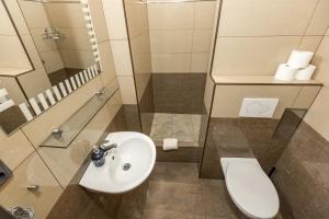 a bathroom with a sink and a toilet and a mirror at Rezidence Davids Apartments in Prague