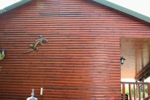 Foto dalla galleria di Lerato Bush Lodge a Pretoria