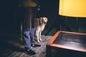 a dog standing next to a person standing next to a table at Hotel Casa Bonay & Spa in Barcelona