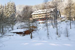 Waldhaus am See om vinteren
