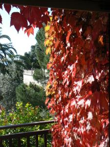 A garden outside B&B La Cittadella Univeristaria Policlinico Catania