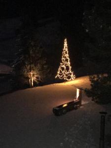 Photo de la galerie de l'établissement Ferienhaus Chalet Riedji, à Furna