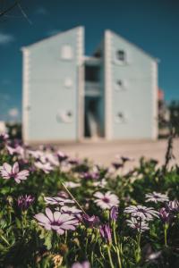 ein Feld lila Blumen vor einem Gebäude in der Unterkunft Apartments Blue House in Korčula