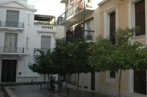 an orange tree is in front of a building at Omiros Hotel in Athens