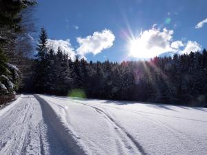 Pilznerhof að vetri til